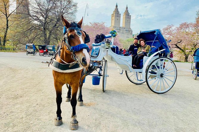45 min Long VIP Central park carriage ride - A VIP Central Park Carriage in About 40 to 45 Minutes