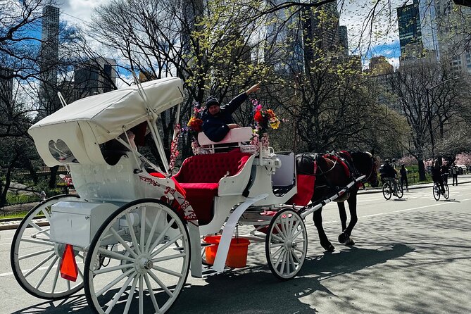 45 min Long VIP Central park carriage ride - Bethesda Terrace to the Mall: Classical Central Park Moments Up Close