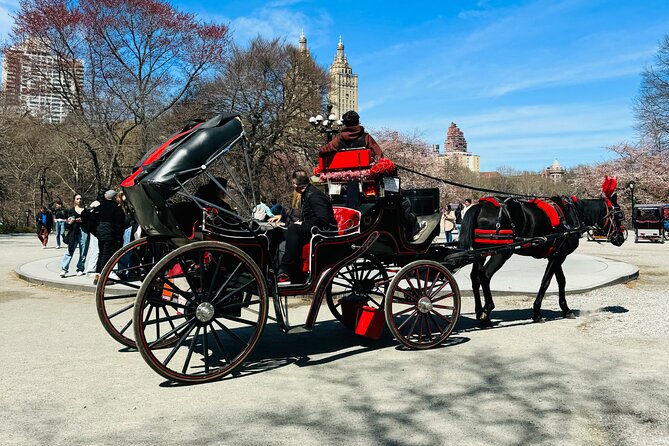45 min Long VIP Central park carriage ride - Carousel, Balto, and the Ice Rink Zone: Fun Landmarks With Real Personality