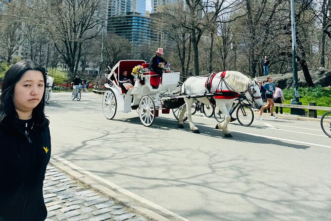45 min Long VIP Central park carriage ride - Strawberry Fields and Tavern on the Green: Two Stops, Big Meaning
