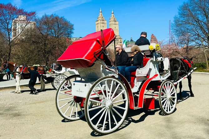 45 min Long VIP Central park carriage ride - Sheep’s Meadow and Columbus Circle: The Big-Picture Ending