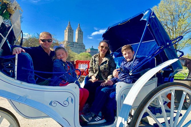 45 min Long VIP Central park carriage ride - Winter Comfort: Warm Blankets Make the Ride Feel Worth It
