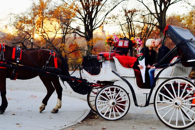 45 min Long VIP Central park carriage ride - The Cherry Hill Photo Stop: A Quick Break That Changes the Ride