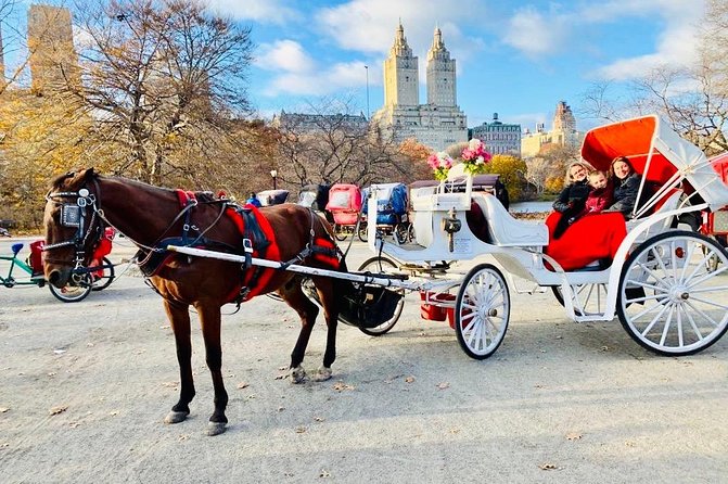 45 Minute VIP Central Park Carriage Ride - Entering The Lower Loop: Why 45 Minutes Works So Well
