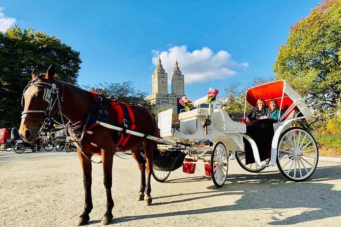 45 Minute VIP Central Park Carriage Ride - Private Transportation for Real Comfort