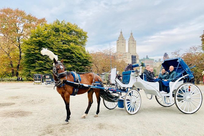 45 Minute VIP Central Park Carriage Ride - Getting Oriented: How the Meeting Point Works