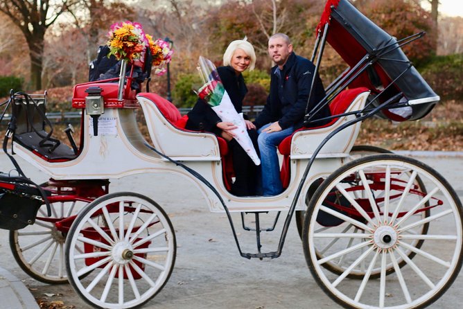 60 min surprise proposal carriage ride - Key highlights you’ll care about