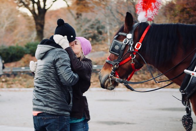 60 min surprise proposal carriage ride - Weather, timing, and how to dress for a smooth ride