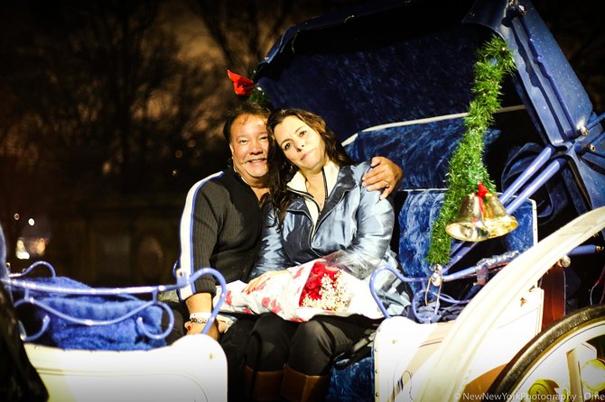 60 min surprise proposal carriage ride - Who this carriage proposal ride is best for