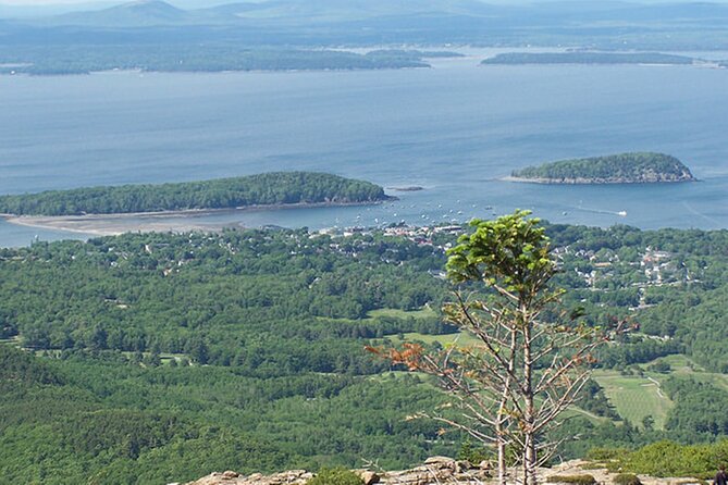 Acadia National Park & Boston 3-Day Tour from NYC | Kids 50% Off - Key moments that make this tour worth your time