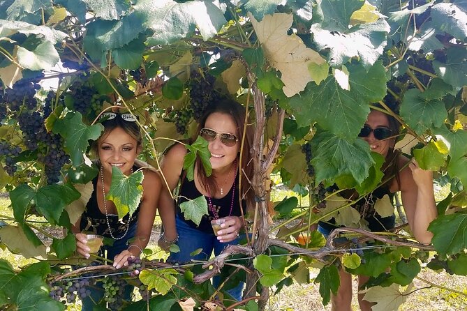 All Inclusive VIP Wine or Beer Tour in Hudson Valley - Value check: why this feels worth it, and where you may spend extra