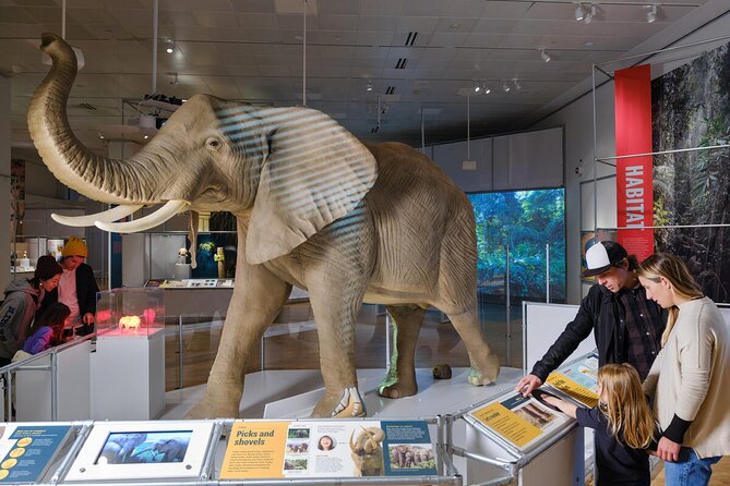 American Museum of Natural History Admission Ticket - Akeley Hall of African Mammals and the Asian Elephants