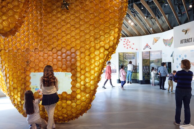 American Museum of Natural History Admission Ticket - Milstein Hall of Ocean Life and the 94-Foot Blue Whale