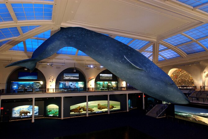 American Museum of Natural History Admission Ticket - Rose Center for Earth and Space, Plus the Gilder Center