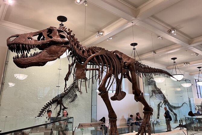 American Museum of Natural History and MOMA Combo Tickets - Comfort tips, including the heat factor