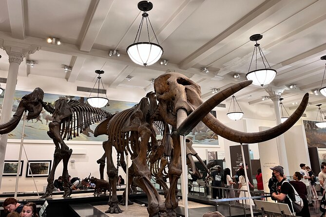 American Museum of Natural History and MOMA Combo Tickets - Who this combo suits best