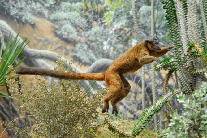 Bronx Zoo Admission Ticket - Key highlights to know before you go
