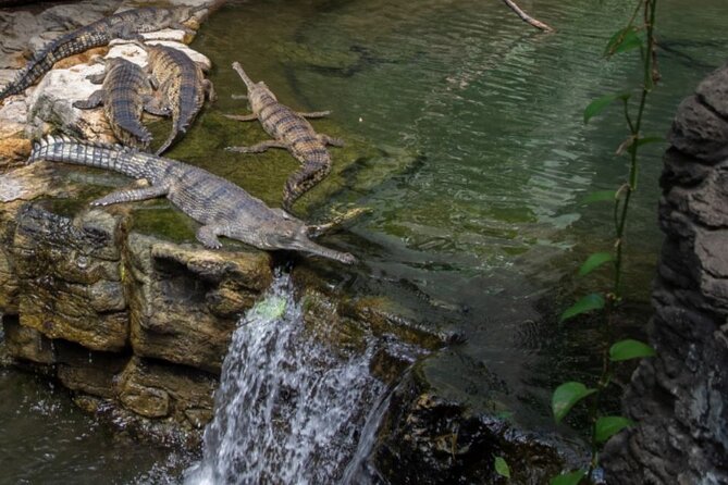 Bronx Zoo Admission Ticket - Facilities, food, and bathroom reality checks