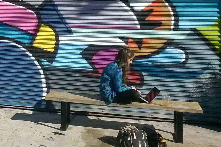 Brooklyn: 2-Hour Best of Brooklyn Walking Tour -Williamsburg - Price and value: is $32 for 2 hours a fair deal?