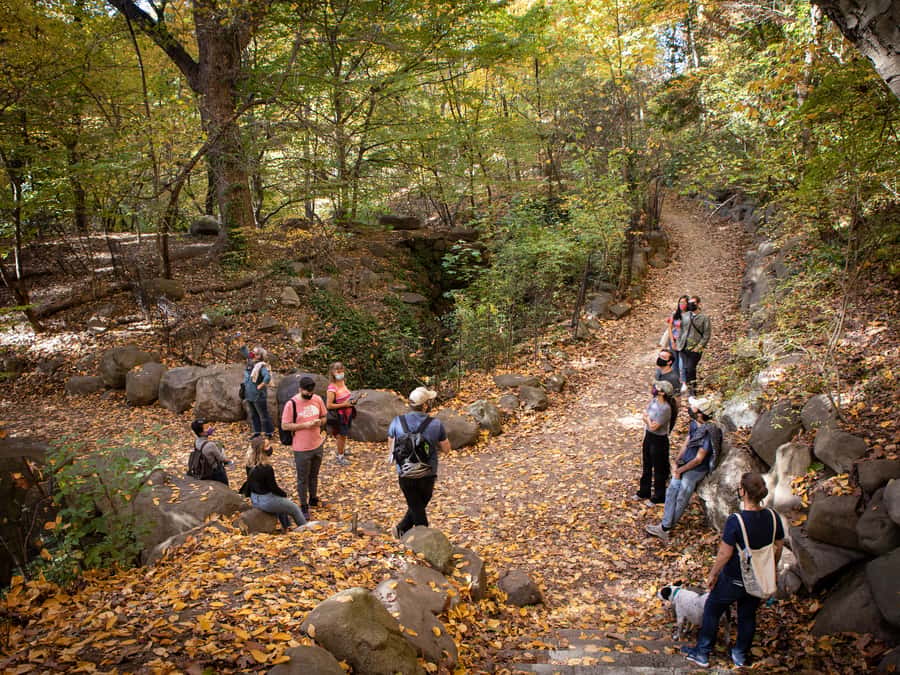 Brooklyn: 2-Hour Prospect Park Guided Walking Tour - Prospect Park feels larger than Brooklyn, and the tour proves it