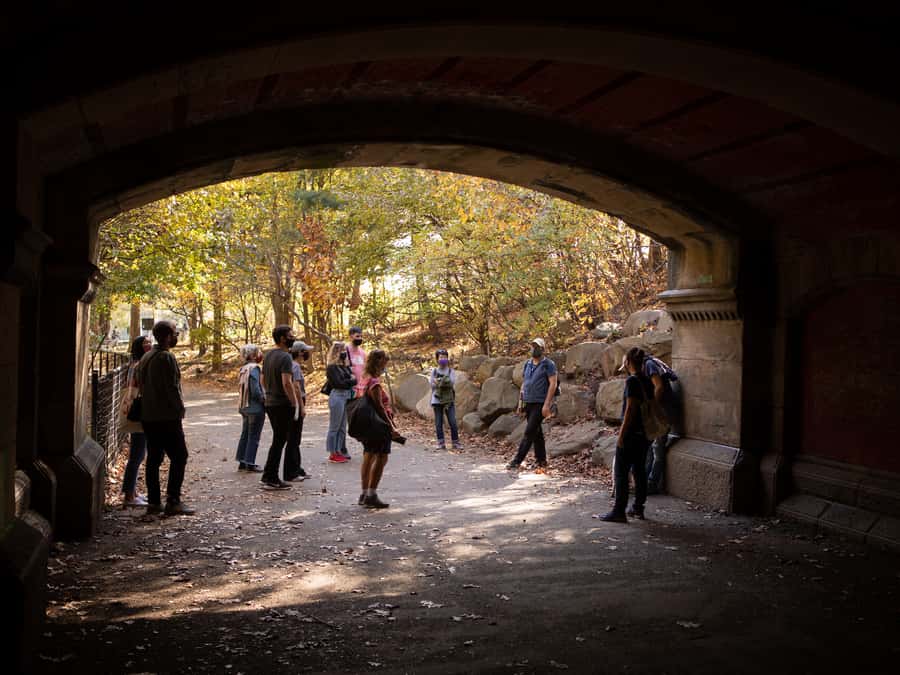 Brooklyn: 2-Hour Prospect Park Guided Walking Tour - Long Meadow: the open start that teaches you how the park is composed