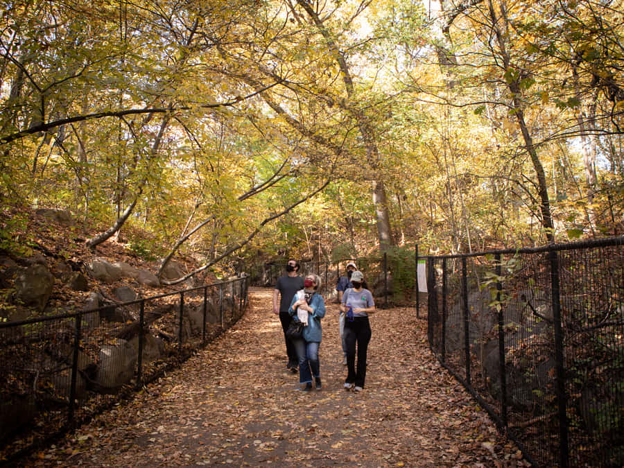 Brooklyn: 2-Hour Prospect Park Guided Walking Tour - The Ravine: where the park turns more dramatic (and more memorable)