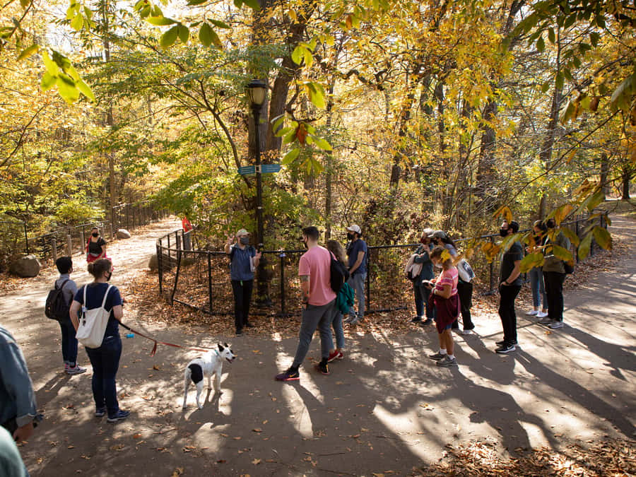 Brooklyn: 2-Hour Prospect Park Guided Walking Tour - Lakes, streams, and waterfalls: the manmade watercourse lesson