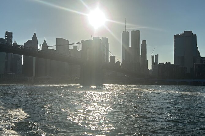 Brooklyn Bridge, Brooklyn Heights & DUMBO Walking Tour - Brooklyn Heights Promenade: the view is the whole point
