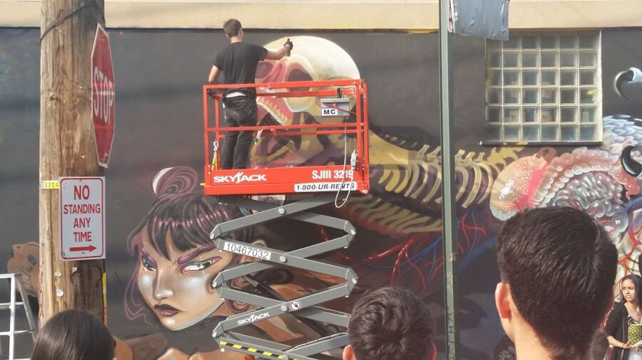 Brooklyn: Bushwick Street Art Walking Tour - Murals you’ll likely spot along the route (and why names matter)