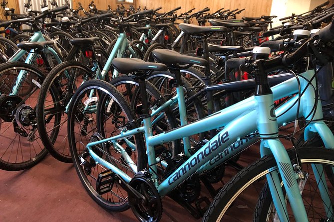 Brooklyn Neighborhoods Small-Group Bike Tour - Guide narration is the real attraction