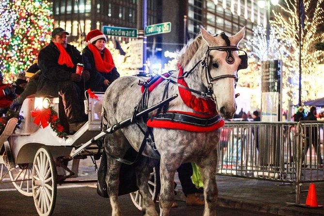 Carriage Ride in Central Park (VIP - PRIVATE) Since 1964™ - Why this VIP private carriage ride feels calmer