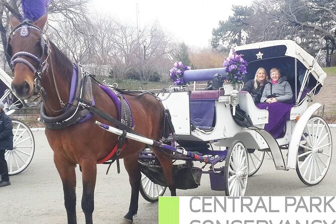 Carriage Ride in Central Park (VIP - PRIVATE) Since 1964™ - Your route through Central Park, from Wollman Rink to Strawberry Fields