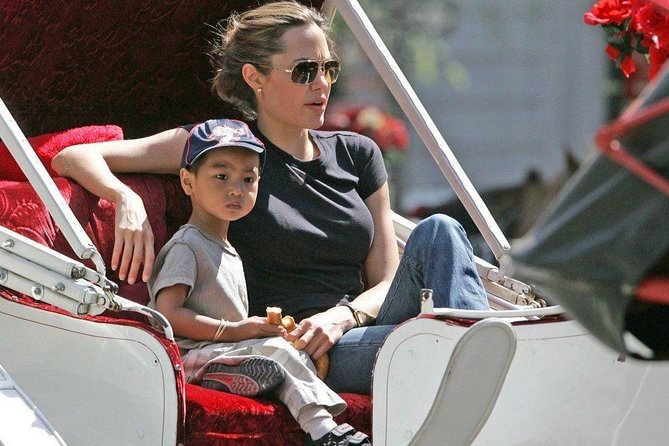 Carriage Ride in Central Park (VIP - PRIVATE) Since 1964™ - What your driver will do for you (and why it matters)