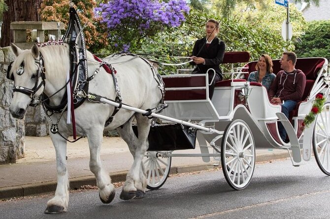 Carriage Ride in Central Park (VIP - PRIVATE) Since 1964™ - Price and value: what $14.99 per group really buys