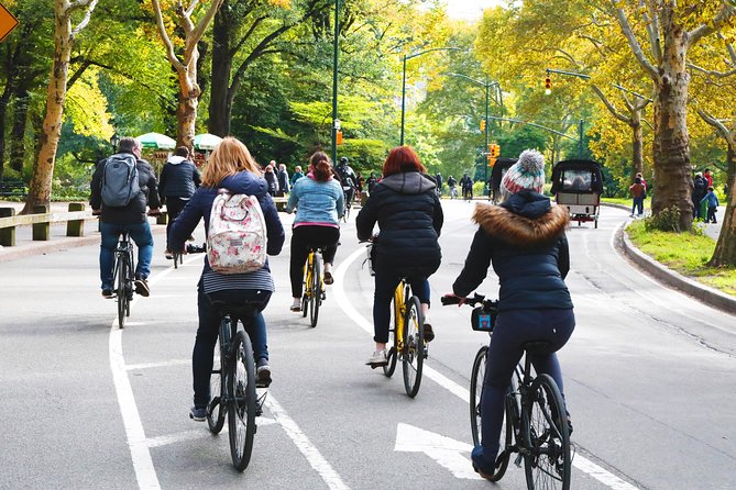 Central Park Bike Tour in Dutch or German - Bethesda Fountain: Classic Central Park Drama, Told at Bike Speed