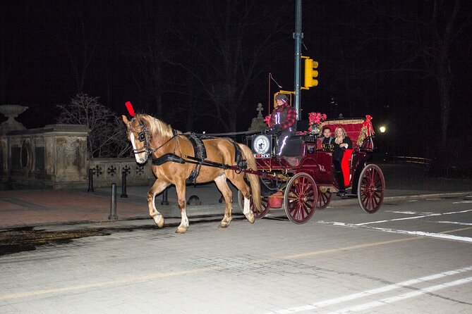 Central Park Carriage Ride w/ Drop Off @ Tavern On Green (45 min) - Where you’ll go: southern entry, photo stops, and the Cherry Hill pause