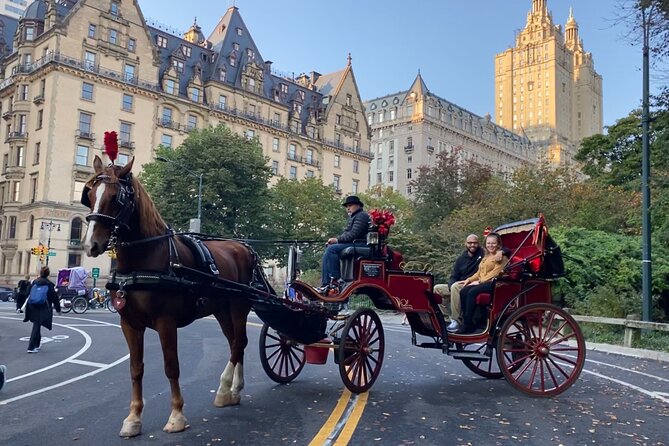 Central Park Carriage Ride w/ Drop Off @ Tavern On Green (45 min) - Carrots, horses, and how feeding time changes the vibe