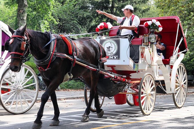 Central Park Carriage Ride w/ Drop Off @ Tavern On Green (45 min) - The storytelling part: movie spots and filming locations that make the scenery click