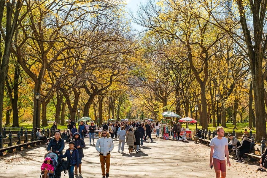 Central Park Guided Bike Tour - Should you book this Central Park guided bike tour?