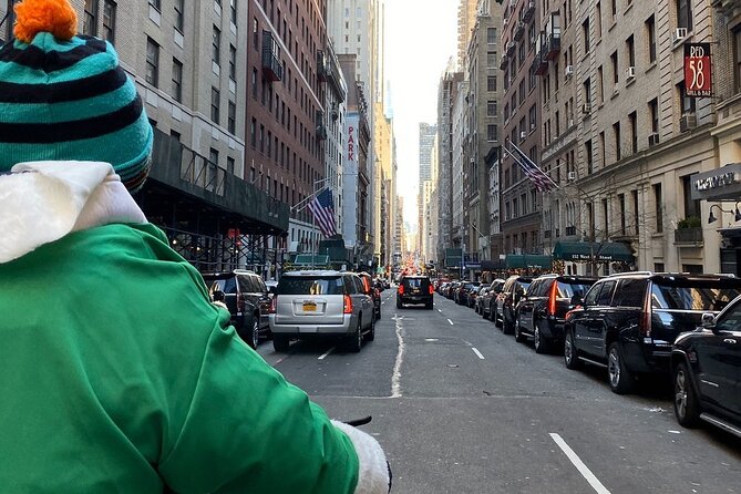 Central Park Guided Pedicab Tours - The 3-hour full park ride: Guggenheim spiral views, Harlem, and quieter nature corners