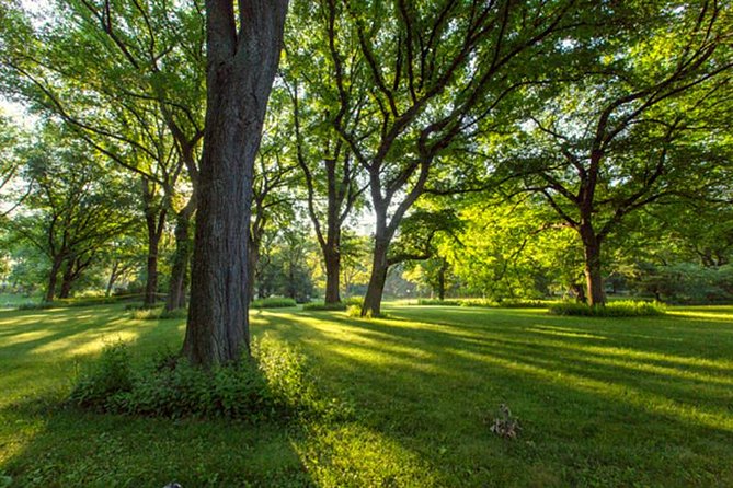 Central Park Guided Walking Tour - Price and value: $44.20 for a guide-led Central Park experience