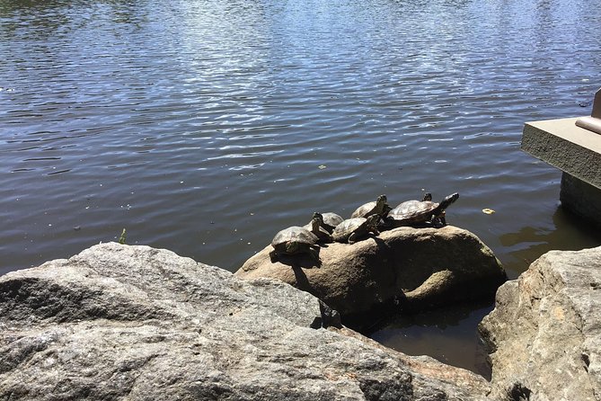 Central Park Guided Walking Tour - Who this tour suits best, and who might want a different plan