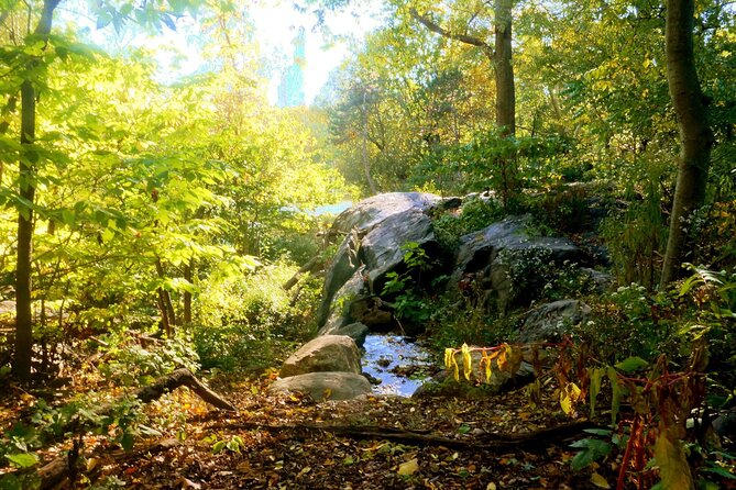 Central Park Guided Walking Tour - Natural Marvels - Key things I’d mark on your map