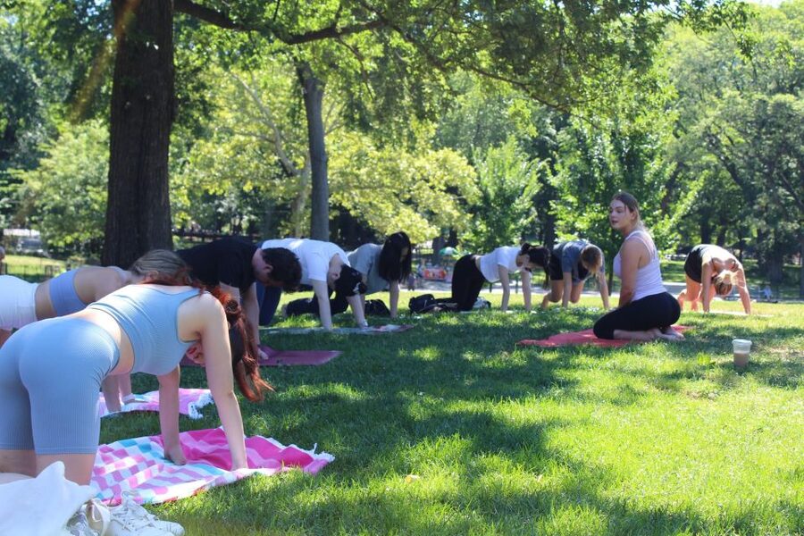 Central Park: Highest Rated Yoga Class in New York City! - Price and value: is $35 worth it in New York?