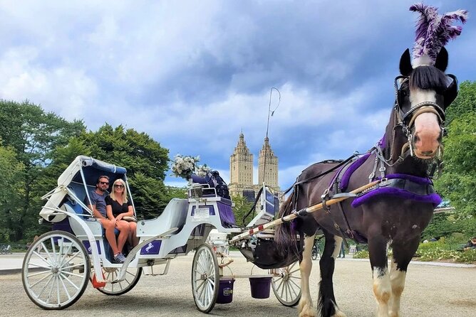 Central Park Horse and Carriage Rides - How Much Time You Actually Get: 45-Minute Classic vs 60-Minute Deluxe