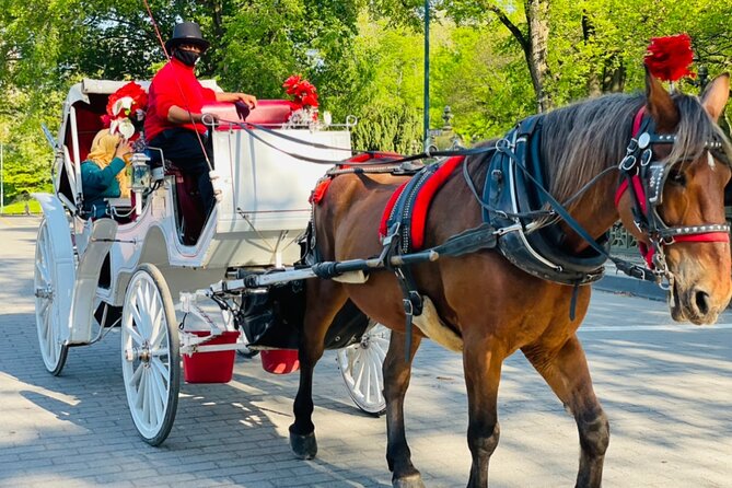 Central Park Horse and Carriage Rides - Bethesda Fountain Photo Stop: Central Park’s Most Iconic Water Moment