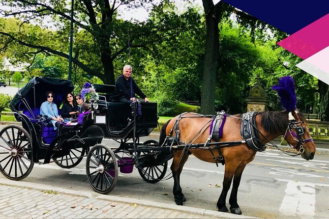 Central Park Horse and Carriage Rides - The Literary Walk: American Elm Arches Without the Hiking