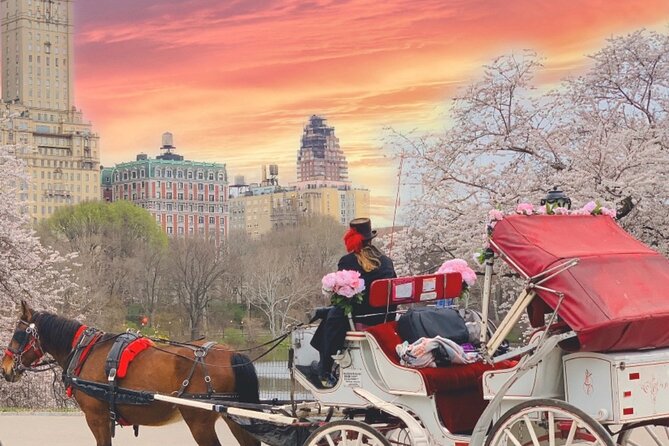 Central Park Horse and Carriage Rides - Cherry Hill Views: Upper West Side Scenery With Celebrity Apartment Energy