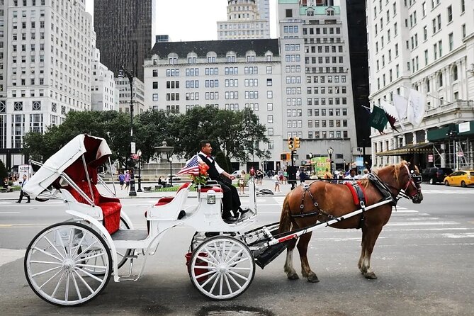 Central Park Horse Carriage Ride - Key things I’d clock before you go
