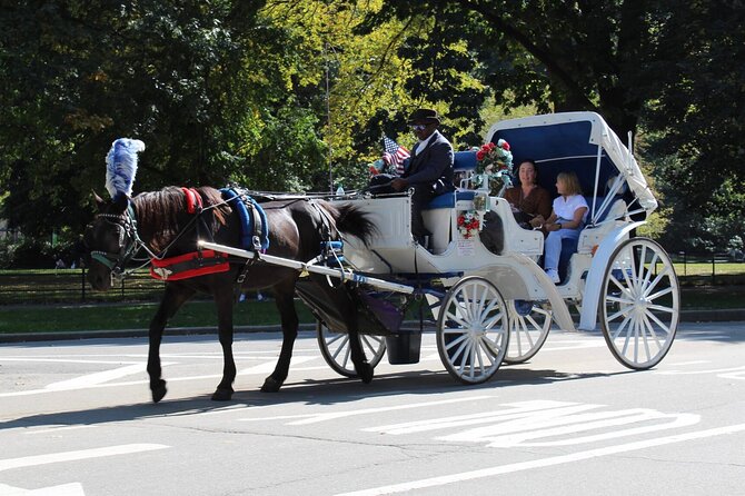 Central Park Horse Carriage Ride - The Driver’s Stories, and Why They Make This Tour Feel Worth It